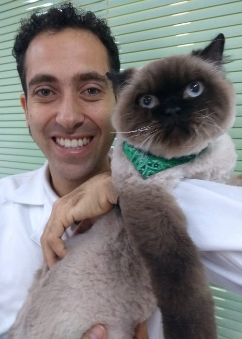 IMG_20180802_112957307_BURST000_COVER