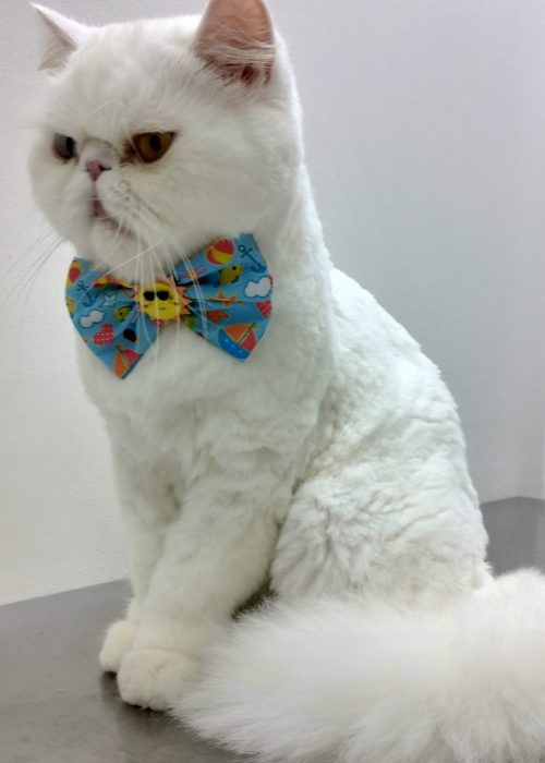 IMG_20241116_154412432_HDR